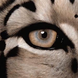 特黄特黄一级二级同房视频
