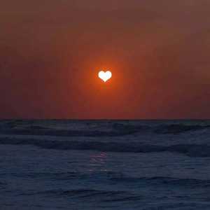 特黄特黄一级二级同房视频
