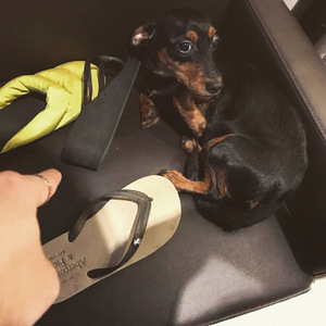 特黄特黄一级二级同房视频
